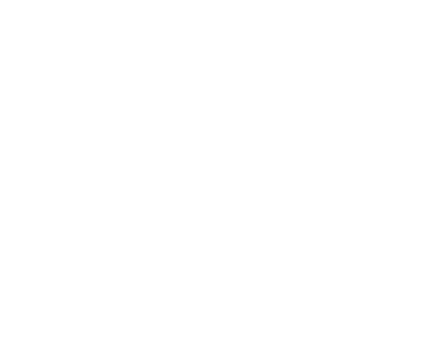 Logo Roman Hotels